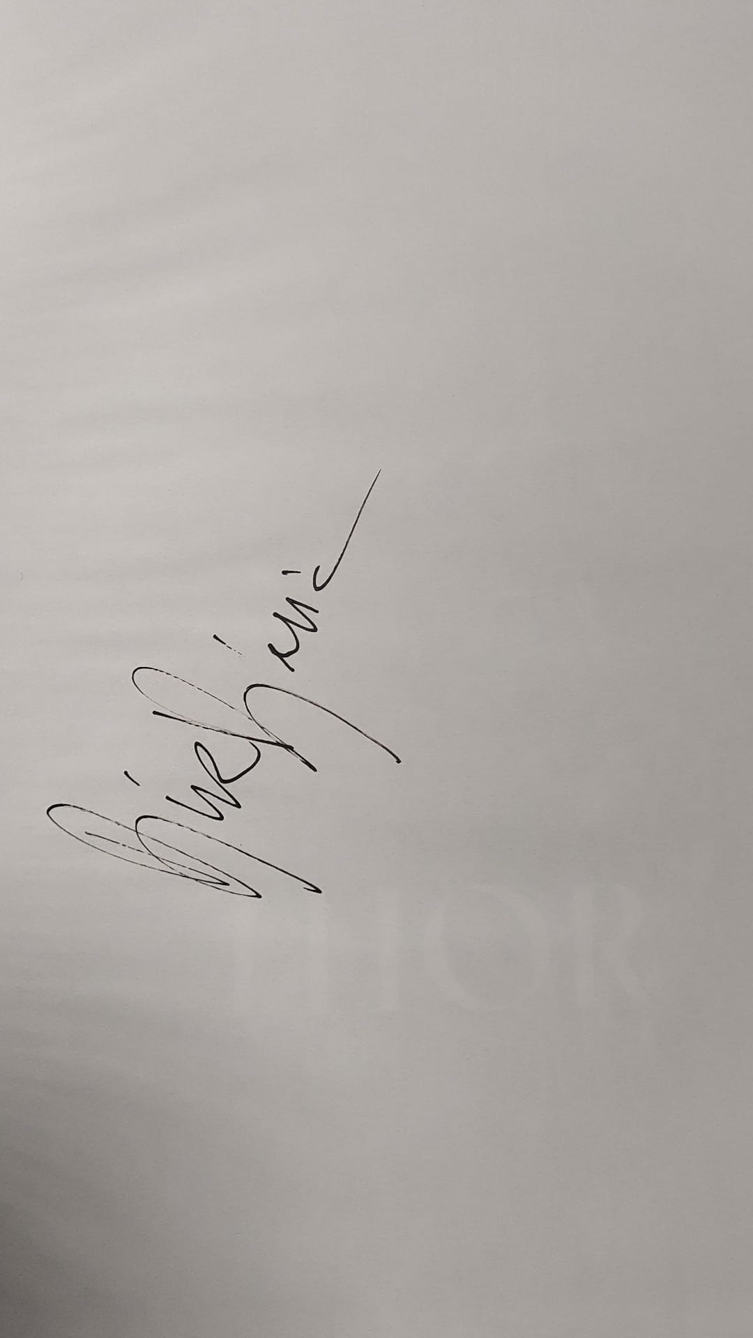 THOR PADRI E FIGLI - EDIZIONE DELUXE LIMITATA AUTOGRAFATA - immagine 2