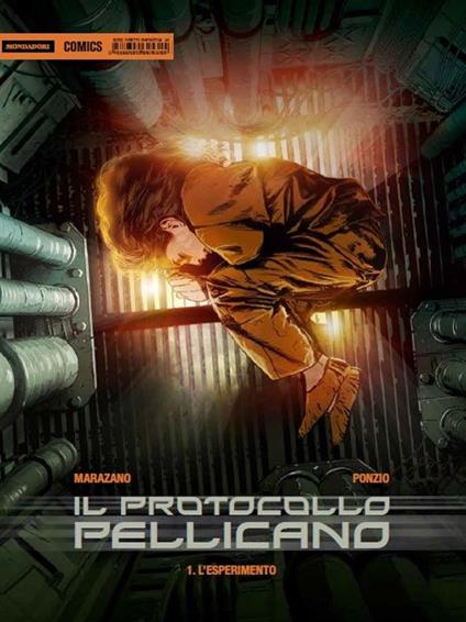 IL PROTOCOLLO PELLICANO 1 - L'ESPERIMENTO
