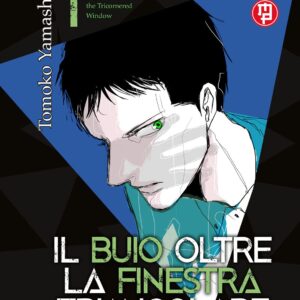 IL BUIO OLTRE LA FINESTRA TRIANGOLARE 1