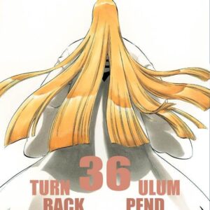 BLEACH 36 - III RISTAMPA