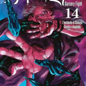 JUJUTSU KAISEN SORCERY FIGHT 14