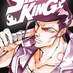 SHAMAN KING FINAL EDITION 11