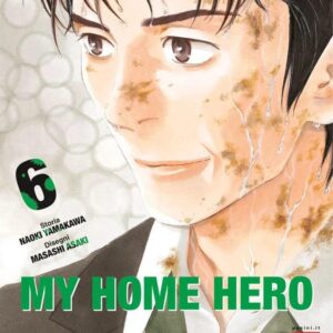 MY HOME HERO 6