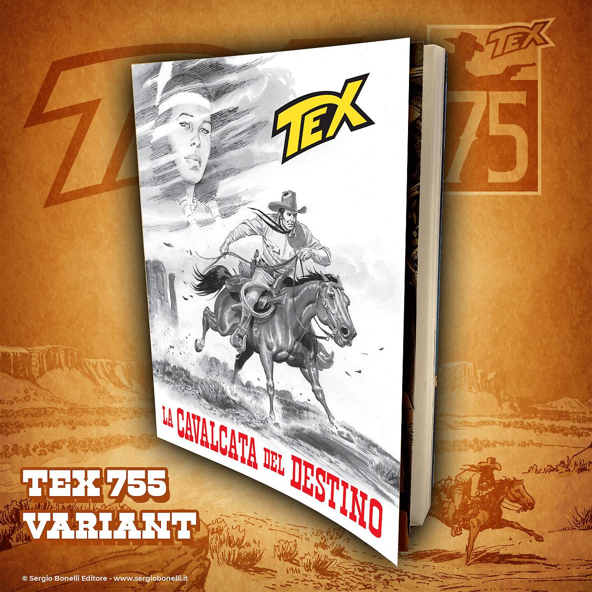 TEX 75 - BOX LEGNO - immagine 4