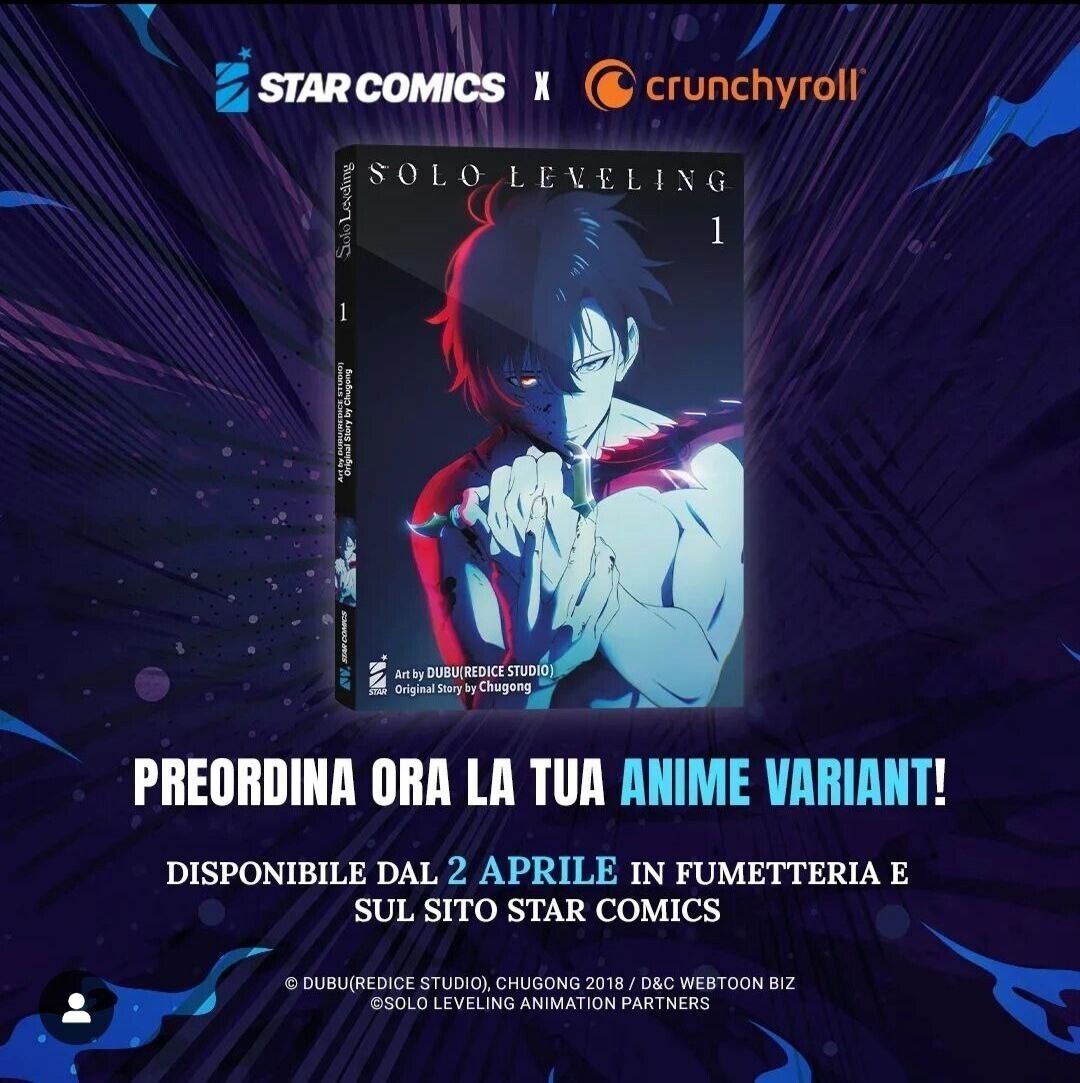 SOLO LEVELING 1 ANIME VARIANT