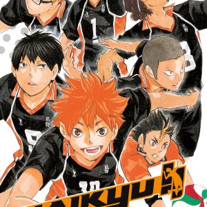 HAIKYU!! L’ASSO DEL VOLLEY 12