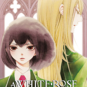 A WHITE ROSE IN BLOOM 1