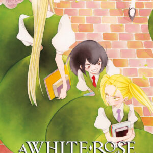 A WHITE ROSE IN BLOOM 3