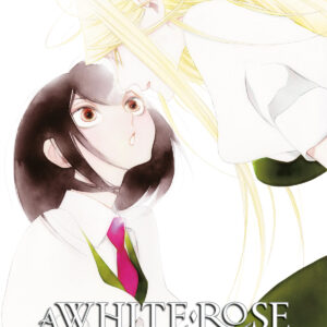 A WHITE ROSE IN BLOOM 4