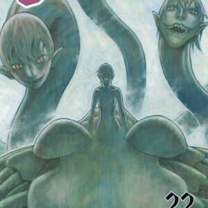 CLAYMORE NEW EDITION 22