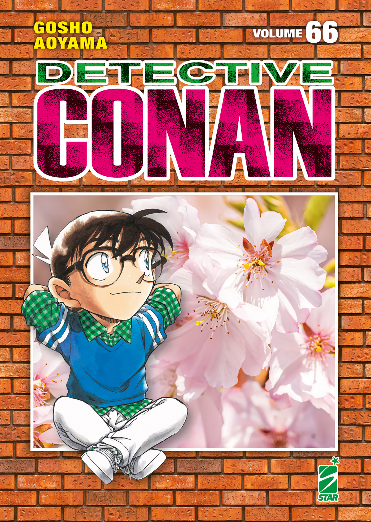 DETECTIVE CONAN NEW EDITION 066