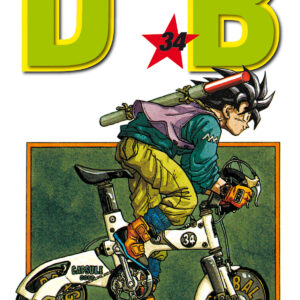 DRAGON BALL EVERGREEN EDITION 34