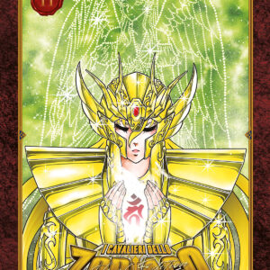 I CAVALIERI DELLO ZODIACO - SAINT SEIYA FINAL EDITION 11
