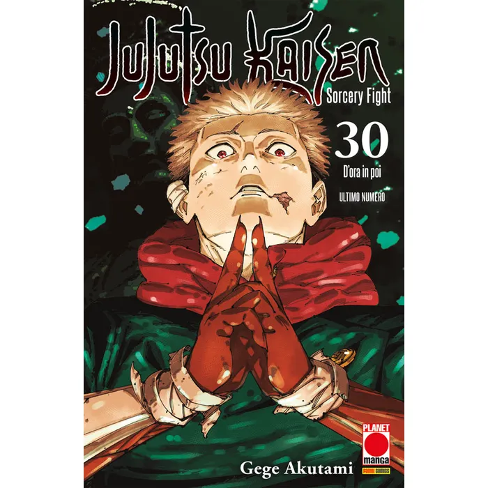 JUJUTSU KAISEN SORCERY FIGHT 30