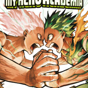 MY HERO ACADEMIA 41