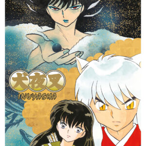 INUYASHA WIDE EDITION 29