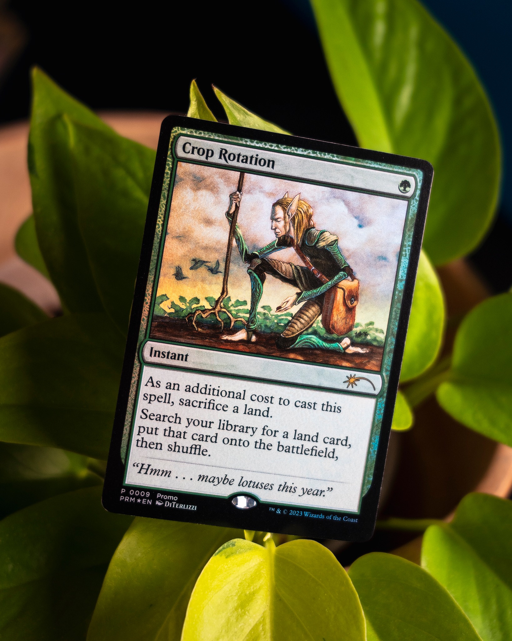 MAGIC THE GATHERING: DESTROY ALL HUMANKIND - THEY CAN'T BE REGENERATED 6 - immagine 2