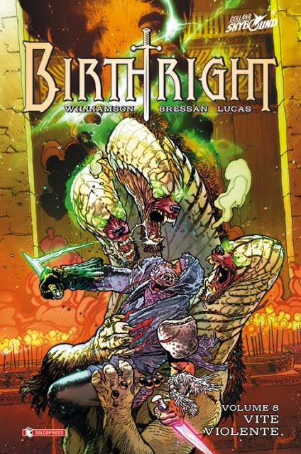BIRTHRIGHT 8 - HC