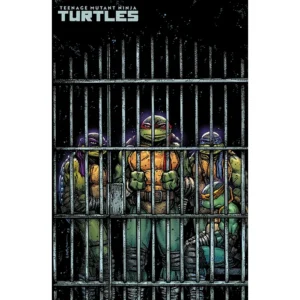 TEENAGE MUTANT NINJA TURTLES 11 (2024) VARIANT COVER