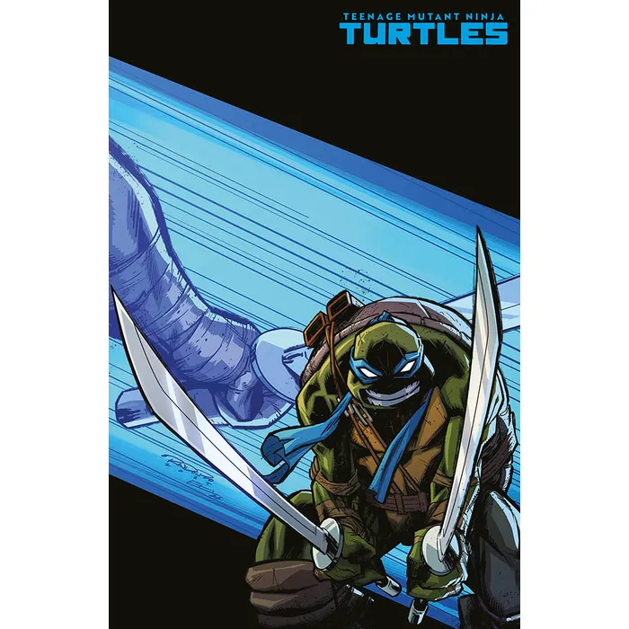 TEENAGE MUTANT NINJA TURTLES 8 (2024) VARIANT COVER