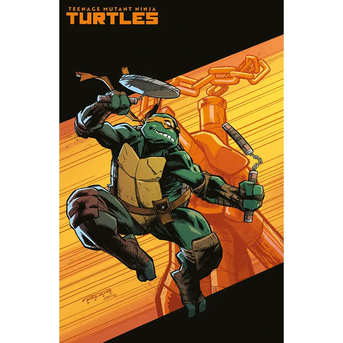 TEENAGE MUTANT NINJA TURTLES 9 (2024) VARIANT COVER
