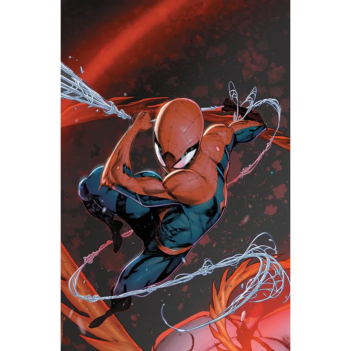 AMAZING SPIDER-MAN 17 (#894) VARIANT IBAN COELLO (1 DI 9)