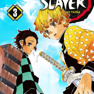 DEMON SLAYER - KIMETSU NO YAIBA NEW EDITION 3